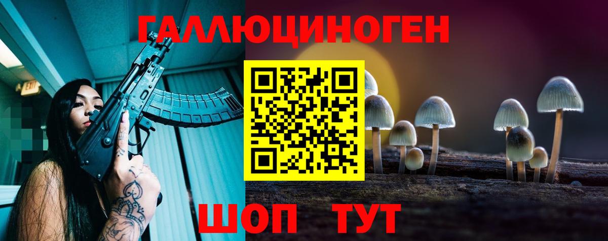Строитель  Псилоцибиновые грибы прущие грибы  Вход с VPN 